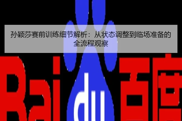 孙颖莎赛前训练细节解析：从状态调整到临场准备的全流程观察