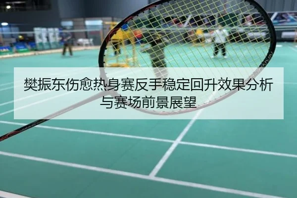 樊振东伤愈热身赛反手稳定回升效果分析与赛场前景展望