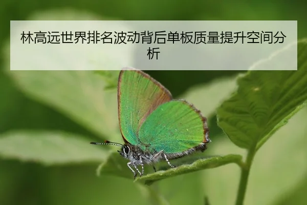 林高远世界排名波动背后单板质量提升空间分析